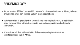 EPIDEMIOLOGY
• An estimated 85% of the world’s cases of schistosomiasis are in Africa, where
prevalence rates can exceed 50% in local populations.
• Schistosomiais is prevalent in tropical and sub-tropical areas, especially in
poor communities without access to safe drinking water and adequate
sanitation.
• It is estimated that at least 90% of those requiring treatment for
schistosomiasis live in Africa.
 