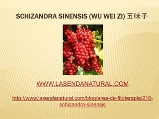 SCHIZANDRA SINENSIS (WU WEI ZI) 五味子
WWW.LASENDANATURAL.COM
http://www.lasendanatural.com/blog/area-de-fitoterapia/216-
schizandra-sinensis
 