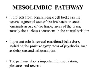 Terminal Hallucinations etiopathogenesis of Schizophrenia | PPTX