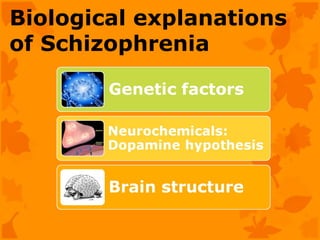 Biological explanations
of Schizophrenia
 