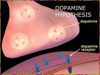 DOPAMINE
HYPOTHESIS
 