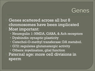 


Genes scattered across all but 8
chromosomes have been implicated
Most important:
•
•
•
•
•



Neuregulin 1: NMDA, GABA, & Ach receptors
Dysbindin: synaptic plasticity
Catechol-O-methyl transferase: DA metabol.
G72: regulates glutamatergic activity
Others: myelination, glial function

Paternal age: more cell divisions in
sperm

 
