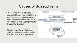 Causes of Schizophrenia
• The leading theory of what
causes Schizophrenia is that it is a
result of genetic predisposition
with an environmental exposure,
and or stress during pregnancy to
trigger the disorder.
• Studies have shown that drugs
such as marijuana and cannabis
can also lead to Schizophrenia

 