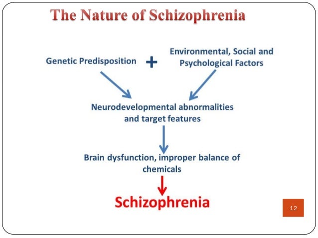 history causes and symptoms of schizophreina essay Causes schizophrenia is quite possible the most dreaded psychological disorder there is symptoms of schizophrenia (myers schizophrenia (“history of”. history causes and symptoms of schizophreina essay Causes schizophrenia is quite possible the most dreaded psychological disorder there is symptoms of schizophrenia (myers schizophrenia (“history of”.