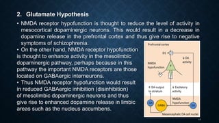 17
2. Glutamate Hypothesis
• NMDA receptor hypofunction is thought to reduce the level of activity in
mesocortical dopaminergic neurons. This would result in a decrease in
dopamine release in the prefrontal cortex and thus give rise to negative
symptoms of schizophrenia.
• On the other hand, NMDA receptor hypofunction
is thought to enhance activity in the mesolimbic
dopaminergic pathway, perhaps because in this
pathway the important NMDA receptors are those
located on GABAergic interneurons.
• Thus NMDA receptor hypofunction would result
in reduced GABAergic inhibition (disinhibition)
of mesolimbic dopaminergic neurons and thus
give rise to enhanced dopamine release in limbic
areas such as the nucleus accumbens.
 