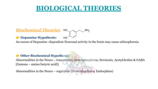 BIOLOGICAL THEORIES
Biochemical Theories
👉 Dopamine Hypothesis:
An excess of Dopamine -dependent Neuronal activity in the brain may cause schizophrenia
👉 Other Biochemical Hypothesis:
Abnormalities in the Neuro – transmitters (non-epinephrine, Serotonin, Acetylcholine & GABA
[Gamma – amino butyric acid])
Abnormalities in the Neuro – regulators (Prostaglandins & Endorphins)
 