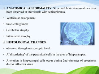  ANATOMICAL ABNORMALITY: Structural brain abnormalities have
been observed in individuals with schizophrenia.
• Ventricular enlargement
• Sulci enlargement
• Cerebellar atrophy
• Intracranial atrophy.
 HISTOLOGICAL CHANGES:
• observed through microscopic level.
• A ‘disordering’ of the pyramidal cells in the area of hippocampus.
• Alteration in hippocampal cells occur during 2nd trimester of pregnancy
due to influenza virus.
 