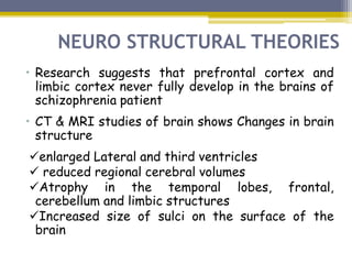 NEURO STRUCTURAL THEORIES
• Research suggests that prefrontal cortex and
limbic cortex never fully develop in the brains of
schizophrenia patient
• CT & MRI studies of brain shows Changes in brain
structure
enlarged Lateral and third ventricles
 reduced regional cerebral volumes
Atrophy in the temporal lobes, frontal,
cerebellum and limbic structures
Increased size of sulci on the surface of the
brain
 