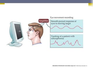 11.05
‫ד‬
"
‫ברוך‬ ‫יהודה‬ ‫ר‬
‫ע‬ ‫הנפש‬ ‫לבריאות‬ ‫המרכז‬ ‫מנהל‬
"
‫ש‬
‫י‬
.
‫אברבנאל‬
 