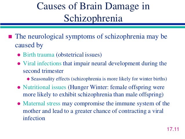 Children s Neurological Development Of Schizophrenia