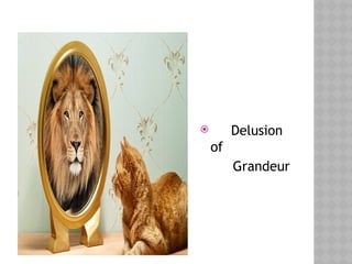  Delusion
of
Grandeur
 