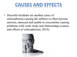 CAUSES AND EFFECTS 
• Stressful incidents are another cause of 
schizophrenia causing the sufferer to often become 
anxious, annoyed and unable to concentrate causing 
problems with work study and relationships (causes 
and effects of schizophrenia, 2014). 
 