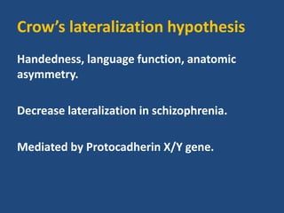 Crow’s lateralization hypothesis
Handedness, language function, anatomic
asymmetry.
Decrease lateralization in schizophrenia.
Mediated by Protocadherin X/Y gene.
 