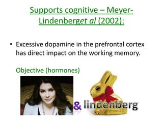 Supports cognitive – Meyer-
Lindenberget al (2002):
• Excessive dopamine in the prefrontal cortex has direct
impact on the working memory.
• Where the schizophrenia stems from a disbelief in
others
(Synoptic – links to dopamine hypothesis)
Objective (hormones)
 