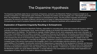The Dopamine Hypothesis
The Dopamine Hypothesis states that an overactivity of Dopamine, produced in the Mesolimbic Pathway connects and leads to an
increase of Dopamine in 2 Telencephalic parts of the Brain, the Nucleus Accumbens and the Amygdala, and 1 Diencephalic part of the
Brain, the Hypothalamus. There are 3 notable symptoms of a Schizophrenic person. The first involves involuntary and excessive
movements, the second is the impact of Memory, and the third is its impact on Hallucinations/Delusions. All three symptoms of
Schizophrenia as a result of excessive Dopamine levels as stated in the Dopamine Hypothesis will be explained below:
Explanation of Dopamine Irregularity Resulting in Schizophrenia
In a non Schizophrenic individual the Mesolimbic Pathway, responsible for innervating parts of the brain involved with functions relating to
motivation and desire via Dopaminergic Inputs, sends excitatory signals to the Nucleus Accumbens/Striatum from the VTA (Ventral
Tegmental Area) in the Midbrain. This disinhibits an originally inhibited Pallidum at rest, which subsequently sends motor information to
the Primary Frontal Motor Cortex to initiate a movement. If Dopamine influences the stimulation of the Nucleus Accumbens/Striatum for a
movement to occur, then the excessive production of Dopamine developed in the VTA in the body of a Schizophrenic person contributes
to the excessive the amount of movement they perform, especially movements relating to reward and desire. In addition to the VTA
innervating the Nucleus Accumbens, it innervates the Amygdala. If Dopamine is produced in excessive amounts the Mesolimbic Pathway
increases power of the sensory inputs going to the Amygdala, which in turn over-stimulates instinctive decisions, one of the
responsibilities of the Amygdala. As previously mentioned the Hippocampus is responsible for the development of Episodic and Semantic
Memory. In a Schizophrenic individual when excessive Dopamine from the VTA and the Mesolimbic Pathway arrives to the Hippocampus
and binds to the Dopamine receptors in the area, Episodic memory can be distorted. Furthermore an excessive amount of Dopamine in
the Mesolimbic System can cause Salience Attribution, a concept referring to the overemphasis of personality based explanations and
interpretations of events, which in turn leads to delusions and hallucination.
 