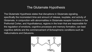 The Glutamate Hypothesis
The Glutamate Hypothesis states that disruptions in Glutamate signaling,
specifically the inconsistent time and amount of release, reuptake, and activity of
Glutamate, in conjunction with abnormalities in Glutamate receptor functions in the
Prefrontal Cortex, and Hypothalamus, regions in the brain that are responsible for
the regulation of emotions, cognitive processes and memory formation, can lead
cognitive deficits and the commencement of Schizophrenic conditions such as
Hallucinations and Delusions.
 