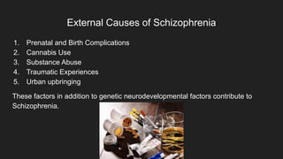 External Causes of Schizophrenia
1. Prenatal and Birth Complications
2. Cannabis Use
3. Substance Abuse
4. Traumatic Experiences
5. Urban upbringing
These factors in addition to genetic neurodevelopmental factors contribute to
Schizophrenia.
 