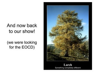 And now back
to our show!
(we were looking
for the EOCD)
Larch
Something completely different
 
