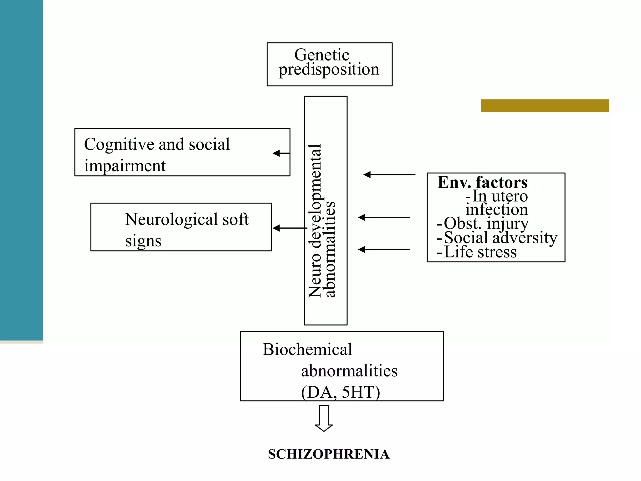 Schizophrenia- a brief view | PPTX
