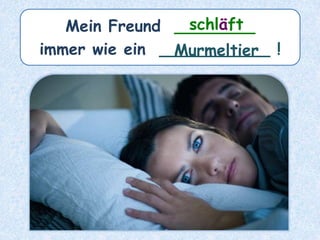 Mein Freund ________
immer wie ein ___________ !
schläft
Murmeltier
 