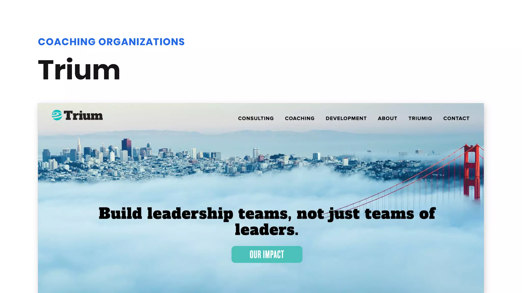 Trium
COACHING ORGANIZATIONS
 