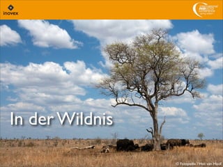 In der Wildnis
© Fotopedia / Han van Hoof
 