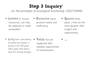 SStteepp 33 IInnqquuiirryy55 
...for the principles of ecological functioning: LESLY-DAMIU 
● Limited or scarce 
ressources, can they 
be replaced or made 
renewable? 
● Excessive inputs 
produce waste and 
inefficiency. 
● Spaces (time, 
place...) that are the 
most dynamic offer 
insights and 
opportunities. 
● Yields that are ● ... 
neglected offer 
valuable opportunities 
of transformation. 
● Long term: speculating 
of where the system is 
going in 20-100 years 
often gives hints about 
slow but strong changes 
 