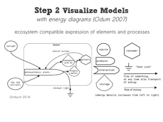 SStteepp 22 VViissuuaalliizzee MMooddeellss 
with energy diagrams (Odum 2007) 
ecosystem compatible expression of elements and processes 
(Schlauch 2014) 
 