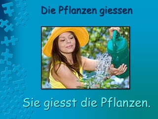 Die Pflanzen giessen
Sie giesst die Pflanzen.
 