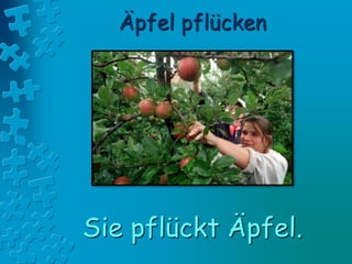 Äpfel pflücken
Sie pflückt Äpfel.
 
