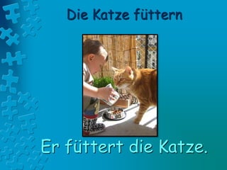 Die Katze füttern
Er füttert die Katze.
 