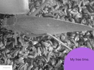 My free time.
Photo By: Sarah Schlipp
 