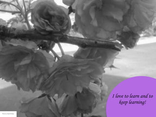 I love to learn and to
keep learning!
Photo by: Sarah Schlipp
 