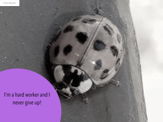 I’m a hard worker and I
never give up!
Photo by: Sarah Schlipp
 