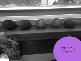 The journey
begins.
Photo By: Sarah Schlipp
 