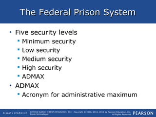 Schmalleger ch11 lecture | PPT
