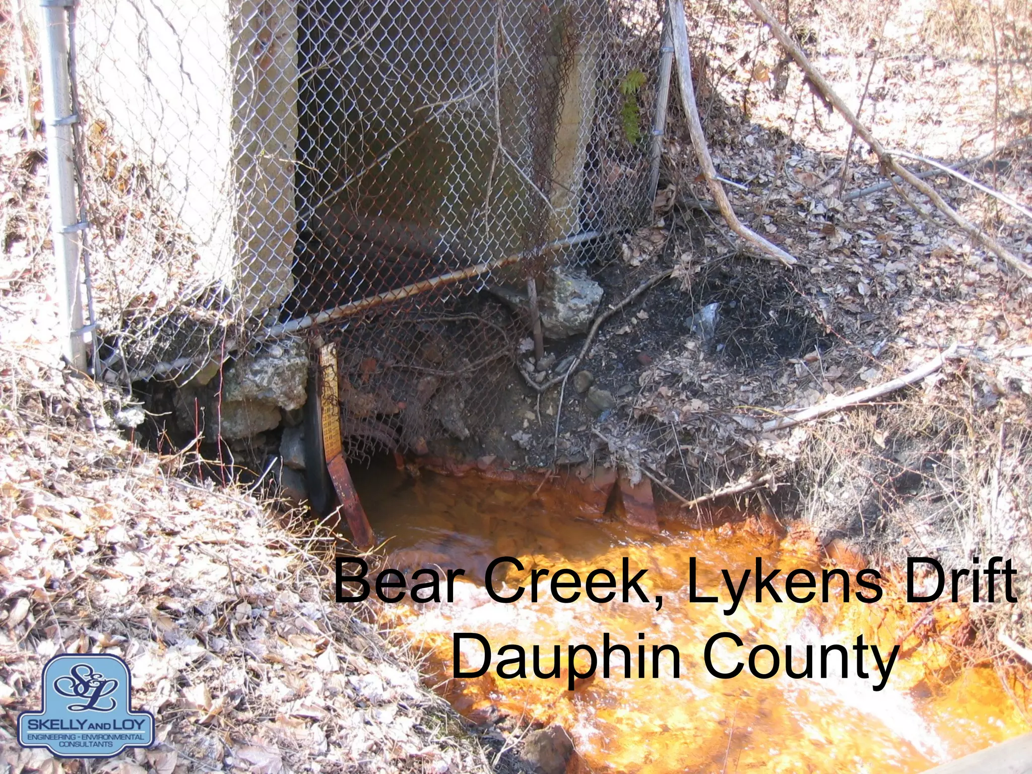Bear Creek, Lykens Drift
Dauphin County
 