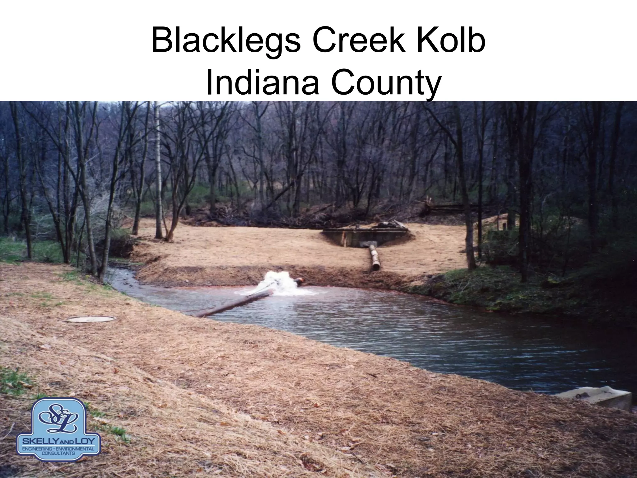 Blacklegs Creek Kolb
Indiana County
 