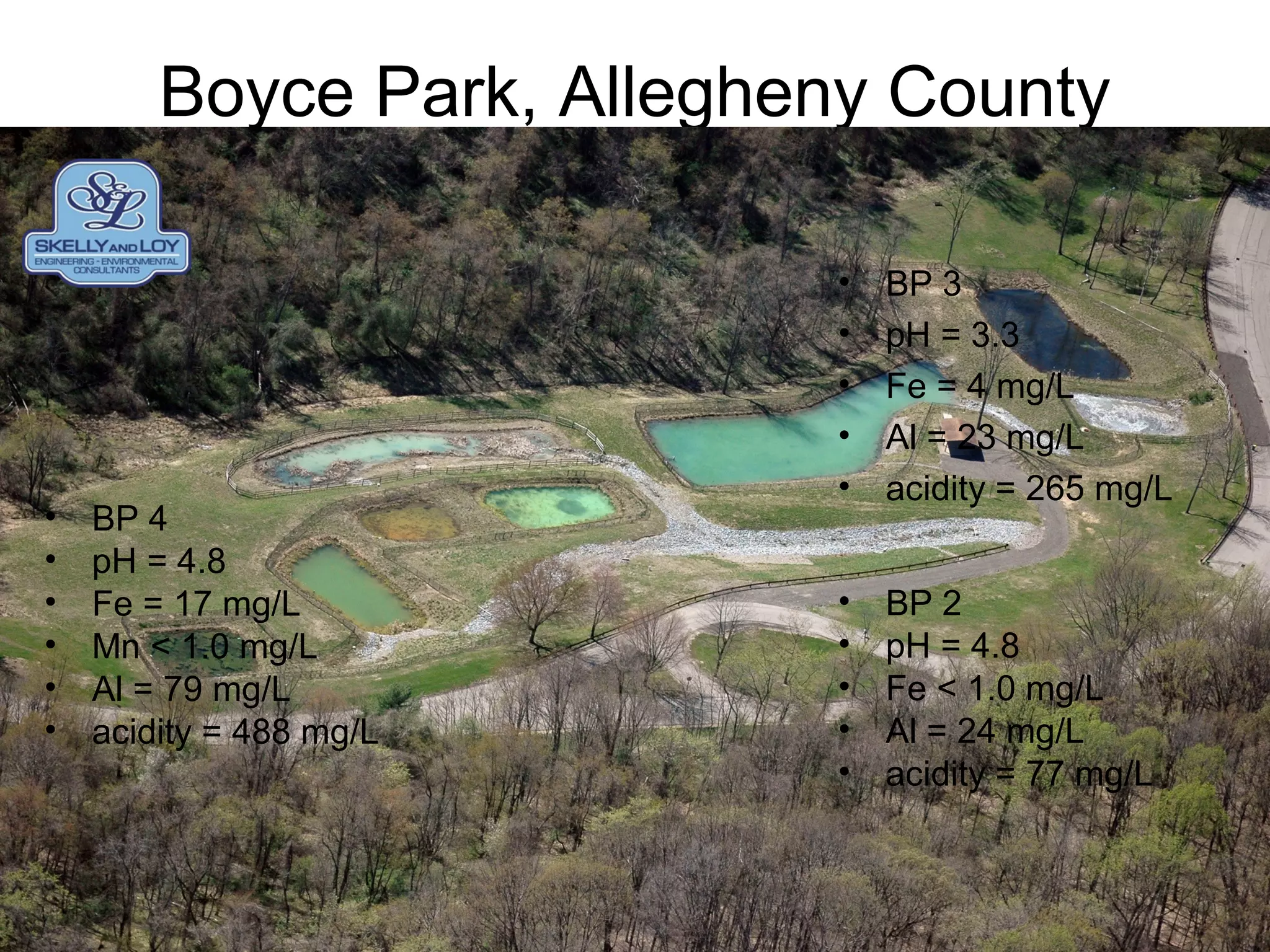 Boyce Park, Allegheny County
• BP 2
• pH = 4.8
• Fe < 1.0 mg/L
• Al = 24 mg/L
• acidity = 77 mg/L
• BP 3
• pH = 3.3
• Fe = 4 mg/L
• Al = 23 mg/L
• acidity = 265 mg/L
• BP 4
• pH = 4.8
• Fe = 17 mg/L
• Mn < 1.0 mg/L
• Al = 79 mg/L
• acidity = 488 mg/L
 