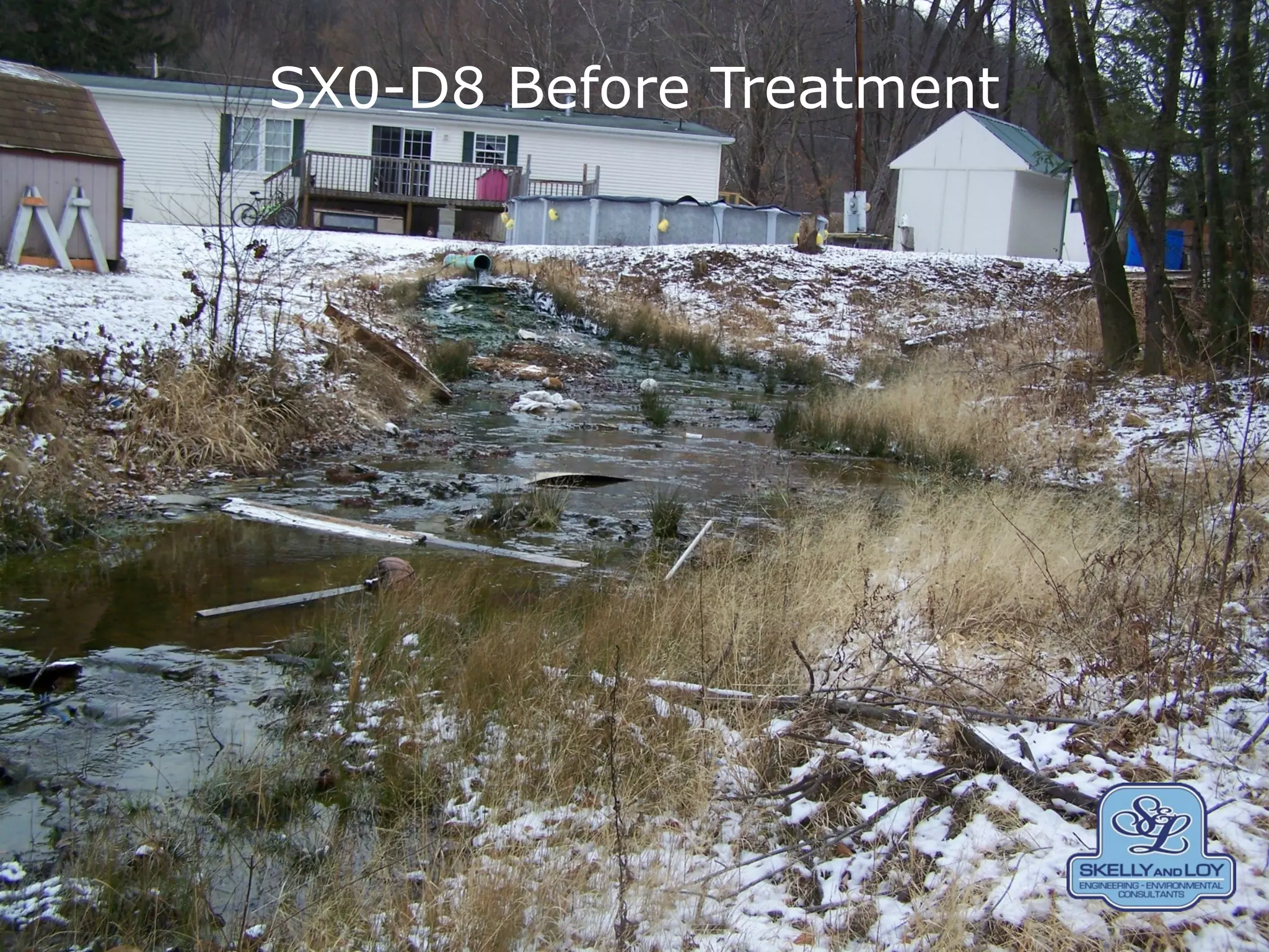 SX0-D8 Before Treatment
 