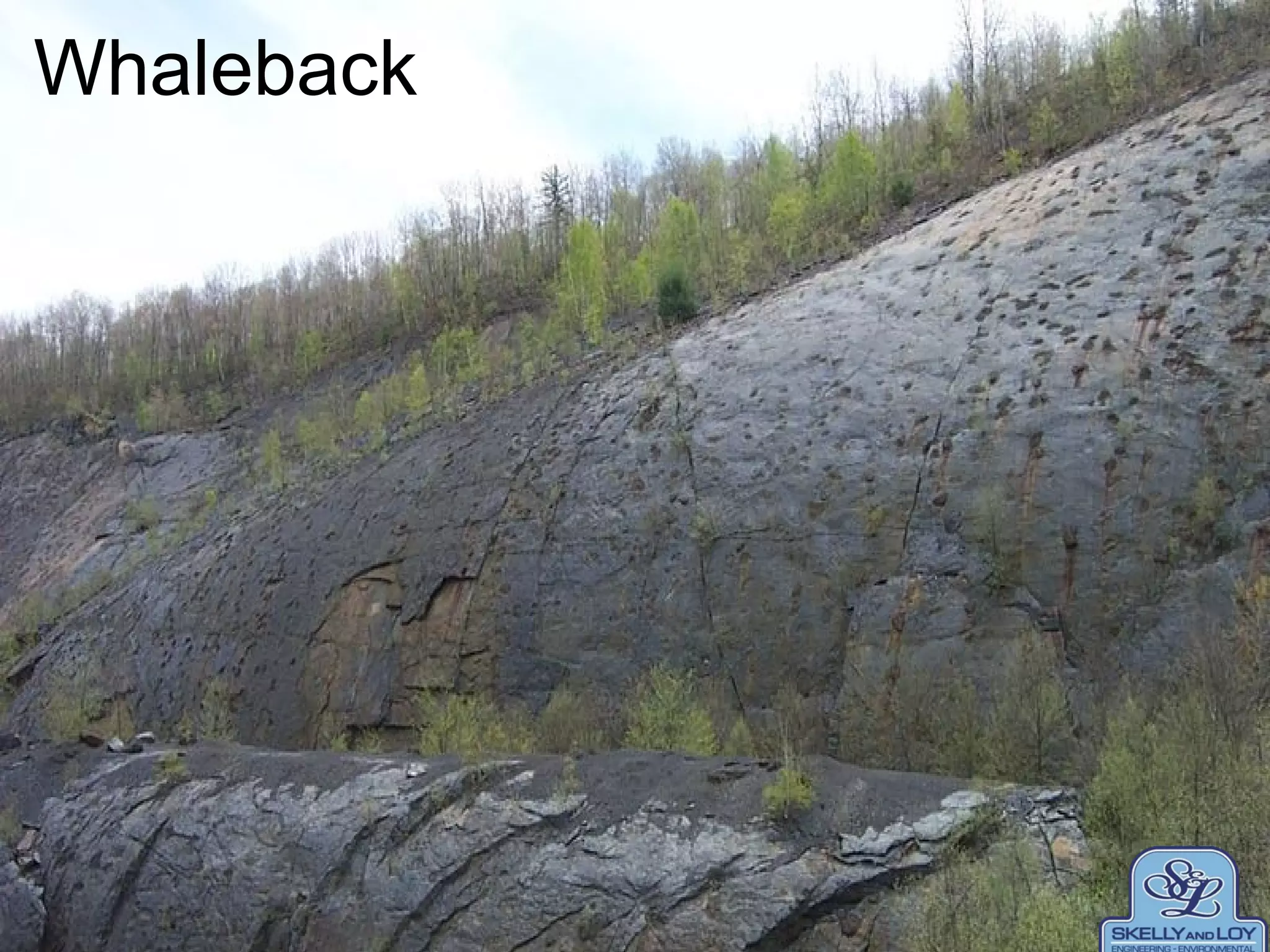 Whaleback
Whaleback
 