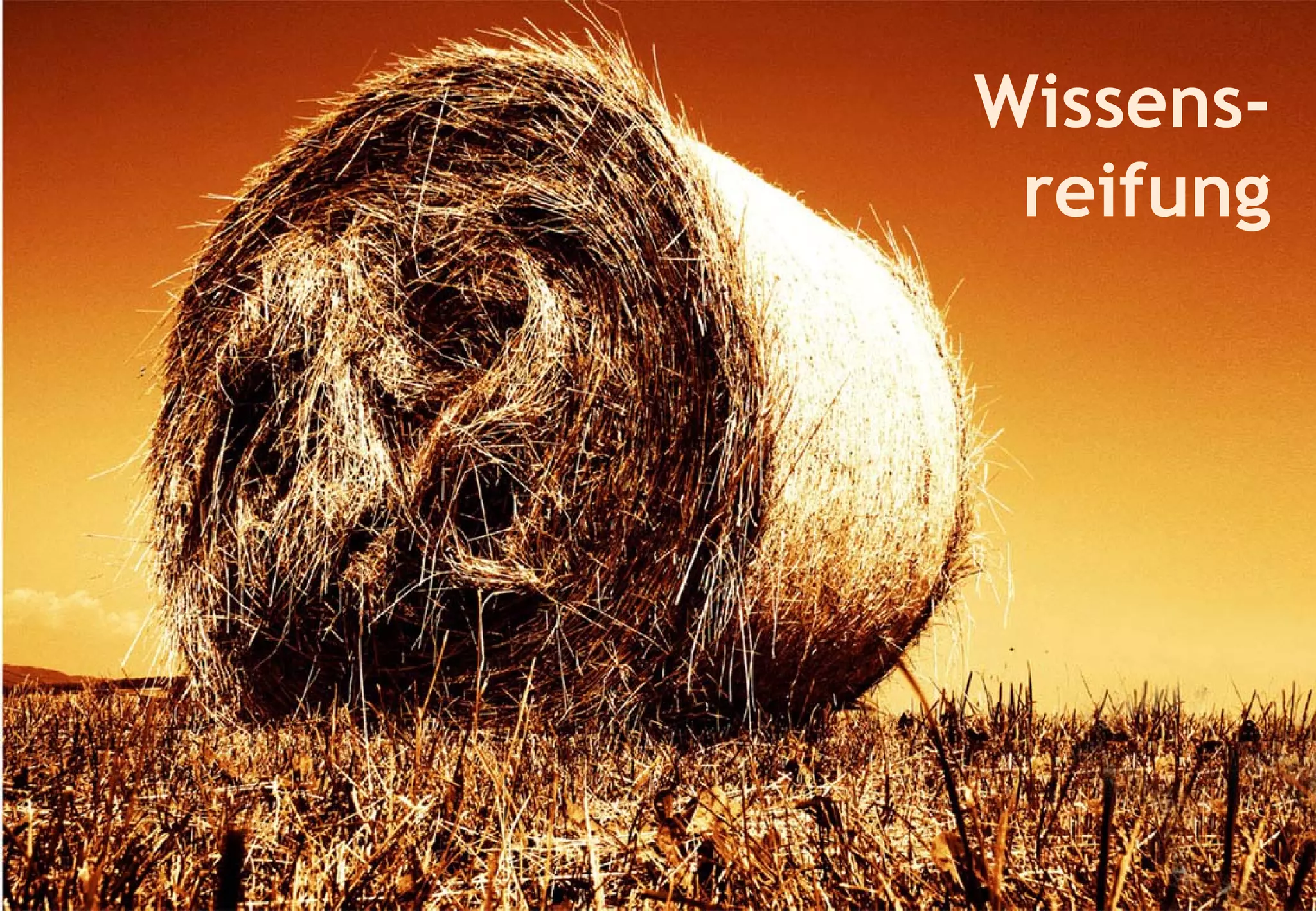 Den Wissensreifungsprozess in Unternehmen fördern