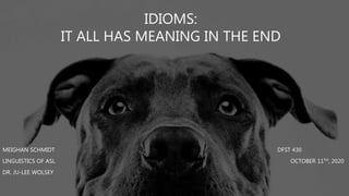 IDIOMS:
IT ALL HAS MEANING IN THE END
MEIGHAN SCHMIDT DFST 430
LINGUISTICS OF ASL OCTOBER 11TH, 2020
DR. JU-LEE WOLSEY
 