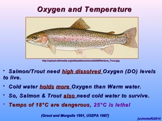 • Salmon/Trout needSalmon/Trout need high dissolvedhigh dissolved Oxygen (DO) levelsOxygen (DO) levels
to live.to live.
• Cold waterCold water holdsholds moremore Oxygen than Warm water.Oxygen than Warm water.
• So, Salmon & TroutSo, Salmon & Trout alsoalso need cold water to surviveneed cold water to survive..
• Temps of 18°C are dangerousTemps of 18°C are dangerous,, 25°C is lethal25°C is lethal
Rainbow TroutRainbow Trout
Oxygen and TemperatureOxygen and Temperature
http://upload.wikimedia.org/wikipedia/commons/b/b9/Rainbow_Trout.jpghttp://upload.wikimedia.org/wikipedia/commons/b/b9/Rainbow_Trout.jpg
(Groot and Morgolis 1991, USEPA 1987(Groot and Morgolis 1991, USEPA 1987))
jschmied©2014jschmied©2014
 