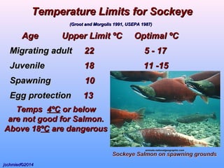AgeAge Upper Limit ºCUpper Limit ºC Optimal ºCOptimal ºC
Migrating adultMigrating adult 2222 5 - 175 - 17
JuvenileJuvenile 1818 11 -1511 -15
SpawningSpawning 1010
Egg protectionEgg protection 1313
Temperature Limits for SockeyeTemperature Limits for Sockeye
(Groot and Morgolis 1991, USEPA 1987)(Groot and Morgolis 1991, USEPA 1987)
animals.nationalgeographic.comanimals.nationalgeographic.com
TempsTemps 4ºC4ºC or belowor below
are not good for Salmon.are not good for Salmon.
Above 18Above 18ºCºC are dangerousare dangerous
jschmied©2014jschmied©2014
 