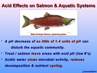 • A pH decrease ofA pH decrease of as little of 1.4 units of pHas little of 1.4 units of pH cancan
disturb the aquatic community.disturb the aquatic community.
• Trout / salmonTrout / salmon leaveleave areas with acid pH (low #areas with acid pH (low #’s)’s)
• Acidic waterAcidic water slowsslows microbial activity,microbial activity, reducesreduces
decomposition & nutrientdecomposition & nutrient cycling.cycling.
Acid Effects on Salmon & Aquatic SystemsAcid Effects on Salmon & Aquatic Systems
Male Sockeye Salmon, spawning phaseMale Sockeye Salmon, spawning phase
jschmied©2014jschmied©2014
 