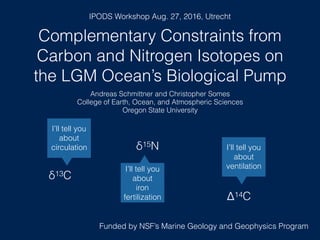 Complementary Constraints from
Carbon and Nitrogen Isotopes on
the LGM Ocean’s Biological Pump
Andreas Schmittner and Christopher Somes
College of Earth, Ocean, and Atmospheric Sciences
Oregon State University
δ13C
I’ll tell you
about
circulation δ15N
I’ll tell you
about
iron
fertilization Δ14C
I’ll tell you
about
ventilation
Funded by NSF’s Marine Geology and Geophysics Program
IPODS Workshop Aug. 27, 2016, Utrecht
 