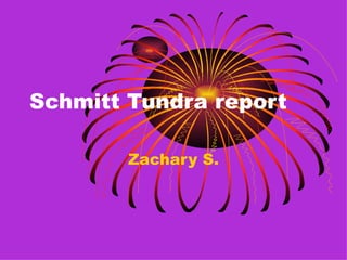Schmitt Tundra report Zachary S. 