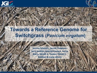 1
Towards a Reference Genome for
Switchgrass (Panicum virgatum)
Jeremy Schmutz, Jarrod Chapman,
Jerry Jenkins, Jane Grimwood, Kerrie
Barry, Gerald A. Tuskan, Daniel S.
Rokhsar & many others
 