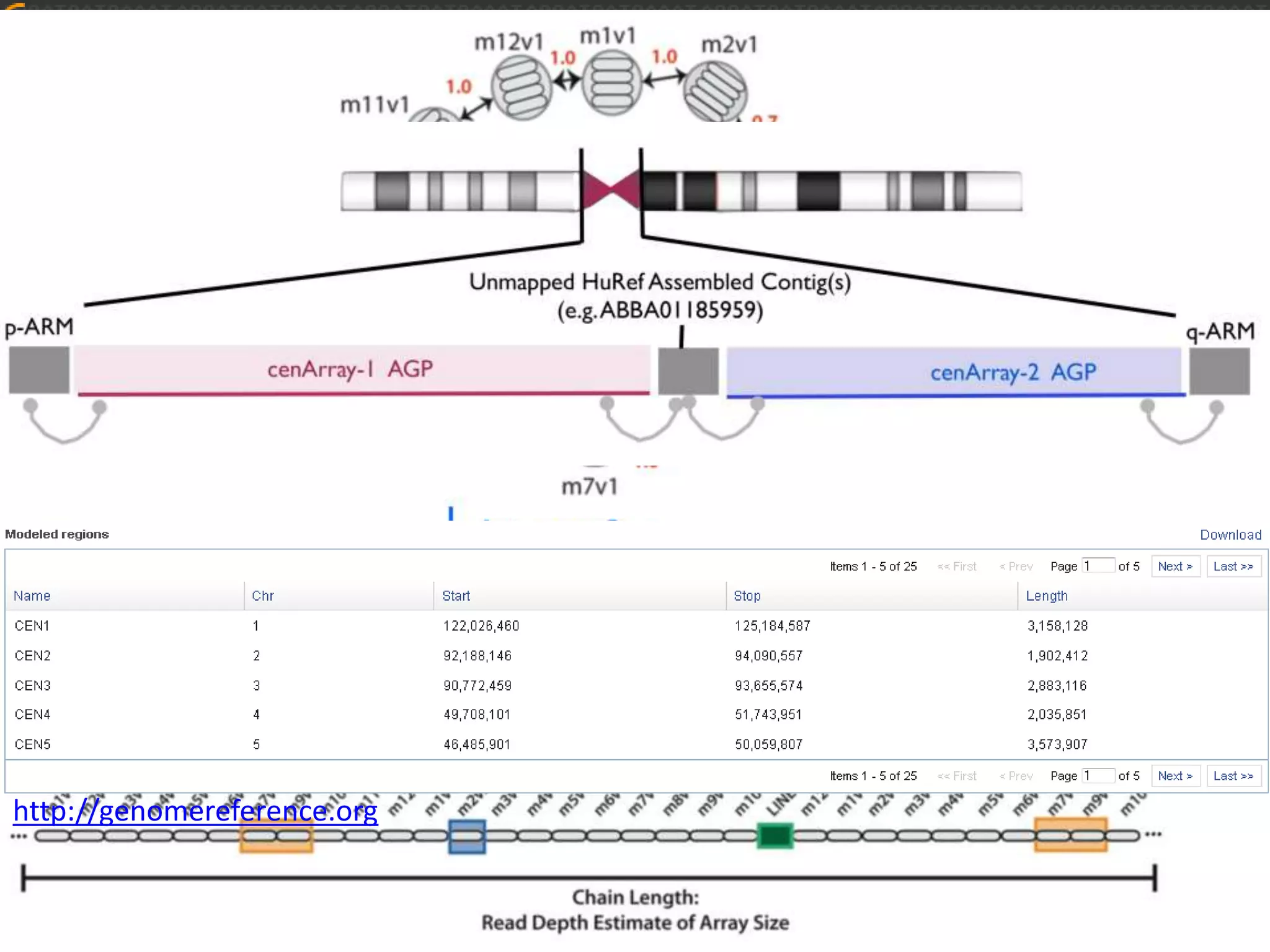 GRCh38 Model Centromeres

http://genomereference.org

 